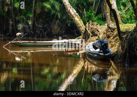 Kichwa Gemeinde von Alta Florencia lebt an einem der Zuflüsse des Napo River im ecuadorianischen Amazonas, Ecuador Stockfoto