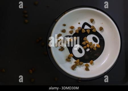 Minimalistische Szene, die eine Tiernahrungsschale mit Katzengesicht zeigt, teilweise mit Trockenfutter gefüllt und von verstreuten Stücken umgeben Stockfoto