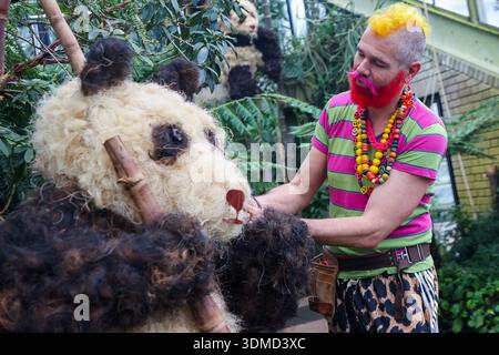 London. UK. Februar 2026. Henck Rolling, Kew Botschafter und der hauseigene Florist, verleiht dem „Panda“ eine Blumenausstellung mit Orchideen, tropischen Pflanzen und Blumen beim Kew Orchid Festival: China im Princess of Wales Conservatory in Kew Gardens, West London, den letzten Schliff. Dieses yearÕs Festival feiert Schönheit, Biodiversität, Geschichte und Erbe der ChinaÕs mit Tausenden von bunten Orchideen und Hunderten anderer tropischer Pflanzen. Zu sehen sind Kunstwerke der Künstler Zheng Bo, Yi Crafts und Xiaolan Gu. Blumenskulpturen zeigen die berühmte chinesische Tierwelt, darunter Koi-Karpfen, Pandas und Rote Krähe Stockfoto