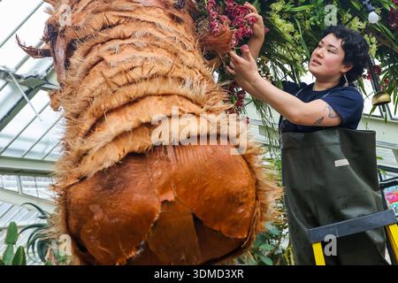 London. UK. Februar 2026. Emma McLoughin, Gärtnerin in Kew, verleiht dem „The Horse“ eine Blumenausstellung mit Orchideen, tropischen Pflanzen und Blumen beim Kew Orchid Festival: China im Princess of Wales Conservatory in Kew Gardens, West London, den letzten Schliff. Dieses yearÕs Festival feiert Schönheit, Biodiversität, Geschichte und Erbe der ChinaÕs mit Tausenden von bunten Orchideen und Hunderten anderer tropischer Pflanzen. Zu sehen sind Kunstwerke der Künstler Zheng Bo, Yi Crafts und Xiaolan Gu. Blumenskulpturen zeigen die berühmte chinesische Tierwelt, darunter Koi-Karpfen, Pandas, rot gekrönte Kraniche und goldene Tiere Stockfoto