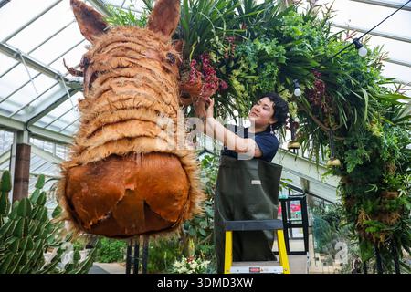 London. UK. Februar 2026. Emma McLoughin, Gärtnerin in Kew, verleiht dem „The Horse“ eine Blumenausstellung mit Orchideen, tropischen Pflanzen und Blumen beim Kew Orchid Festival: China im Princess of Wales Conservatory in Kew Gardens, West London, den letzten Schliff. Dieses yearÕs Festival feiert Schönheit, Biodiversität, Geschichte und Erbe der ChinaÕs mit Tausenden von bunten Orchideen und Hunderten anderer tropischer Pflanzen. Zu sehen sind Kunstwerke der Künstler Zheng Bo, Yi Crafts und Xiaolan Gu. Blumenskulpturen zeigen die berühmte chinesische Tierwelt, darunter Koi-Karpfen, Pandas, rot gekrönte Kraniche und goldene Tiere Stockfoto