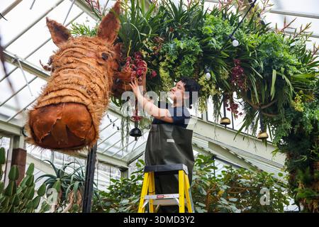 London. UK. Februar 2026. Emma McLoughin, Gärtnerin in Kew, verleiht dem „The Horse“ eine Blumenausstellung mit Orchideen, tropischen Pflanzen und Blumen beim Kew Orchid Festival: China im Princess of Wales Conservatory in Kew Gardens, West London, den letzten Schliff. Dieses yearÕs Festival feiert Schönheit, Biodiversität, Geschichte und Erbe der ChinaÕs mit Tausenden von bunten Orchideen und Hunderten anderer tropischer Pflanzen. Zu sehen sind Kunstwerke der Künstler Zheng Bo, Yi Crafts und Xiaolan Gu. Blumenskulpturen zeigen die berühmte chinesische Tierwelt, darunter Koi-Karpfen, Pandas, rot gekrönte Kraniche und goldene Tiere Stockfoto