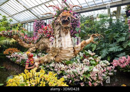 London. UK. Februar 2026. Henck Rolling, Kew Botschafter und der hauseigene Florist vervollständigt die Blumenpräsentation von Orchideen, tropischen Pflanzen und Blumen beim Kew Orchid Festival: China im Princess of Wales Conservatory in Kew Gardens, West London. Dieses yearÕs Festival feiert Schönheit, Biodiversität, Geschichte und Erbe der ChinaÕs mit Tausenden von bunten Orchideen und Hunderten anderer tropischer Pflanzen. Zu sehen sind Kunstwerke der Künstler Zheng Bo, Yi Crafts und Xiaolan Gu. Blumenskulpturen zeigen die berühmte chinesische Tierwelt, darunter Koi-Karpfen, Pandas, rotgekrönte Kraniche, Stockfoto