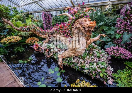 London, Großbritannien. Februar 2026. Kew Gärtner (darunter Henck Röling (Künstler, Florist und Kew-Botschafter) und Soline Dequiret), die den letzten Schliff auf die zentrale Ausstellung im Gewächshausteich mit einem Drachen aus Lotussamen (und mit Schuppen aus Abfallmaterial aus den Gärten) setzen - Kew Gardens 30. Jährliches Orchideenfestival im Princess of Wales Conservatory, Kew Gardens. Guy Bell/Alamy Live News Stockfoto