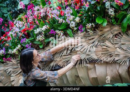 London, Großbritannien. Februar 2026. Kew Gardens' 30. Jährliches Orchideenfest im Princess of Wales Conservatory, Kew Gardens. Eine Feier der Artenvielfalt, Geschichte und des Erbes Chinas mit Tausenden von Orchideen und Hunderten anderer tropischer Pflanzen. Darunter Kunstwerke der Künstler Zheng Bo, Yi Crafts und Xiaolan Gu. Das Festival findet von Samstag, 7. Februar bis Sonntag, 8. März statt. Guy Bell/Alamy Live News Stockfoto