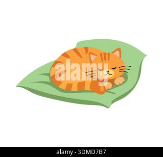 Süße orangene Tabbykatze, die auf einem grünen Kissen schläft. Lustiges Ausruhen des Haustieres. Isolierte Vektorabwicklung Stock Vektor