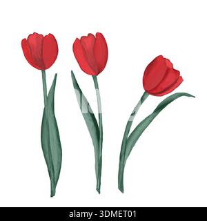 Handgezeichnete Aquarellillustration von Tulpen. Elegante und zarte Blumen in sanftem Aquarellstil Stockfoto