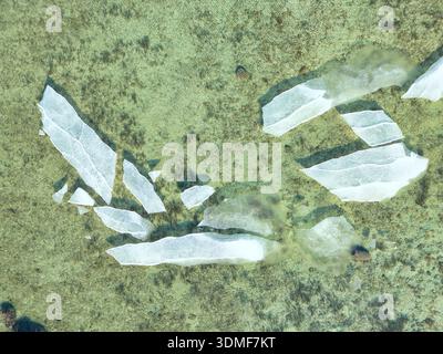 Von oben nach unten gezeigte Eisschollen an der Ostsee in Tallinn Stockfoto