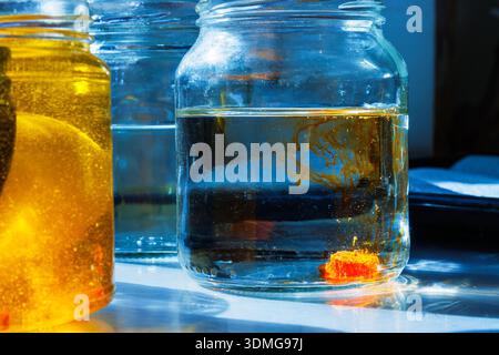 Sonnendurchflutete Nahaufnahme eines Glasbehälters mit Wasser und orangefarbenem Lebensmittelfarbstoff, der sich im Wasserbehälter löst und farbenfrohe Diffusionslinien im Sonnenlicht erzeugt Stockfoto
