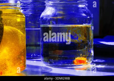 Sonnendurchflutete Nahaufnahme eines Glasbehälters mit Wasser und orangefarbenem Lebensmittelfarbstoff, der sich im Wasserbehälter löst und farbenfrohe Diffusionslinien im Sonnenlicht erzeugt Stockfoto