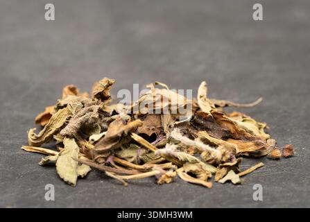 Heiliges Basilikum, Ocimum tenuiflorum - getrocknete Heilkräuter in Okinawan Tee für Entspannung, Gesundheit, Langlebigkeit verwendet Stockfoto