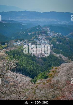 Großer Blick auf eine Bergstadt mit Kirschblüten im Yoshinoyama-Nationalpark, Japan. Stockfoto