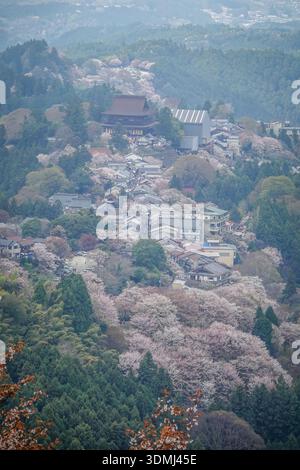 Großer Blick auf eine Bergstadt mit Kirschblüten im Yoshinoyama-Nationalpark, Japan. Stockfoto
