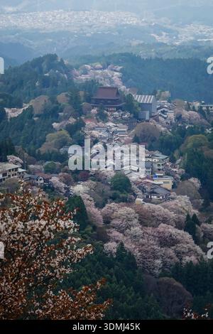 Großer Blick auf eine Bergstadt mit Kirschblüten im Yoshinoyama-Nationalpark, Japan. Stockfoto