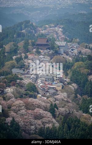Großer Blick auf eine Bergstadt mit Kirschblüten im Yoshinoyama-Nationalpark, Japan. Stockfoto