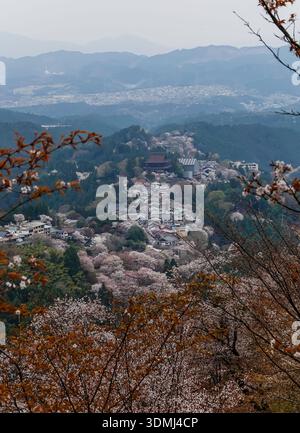 Großer Blick auf eine Bergstadt mit Kirschblüten im Yoshinoyama-Nationalpark, Japan. Stockfoto