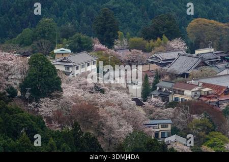 Großer Blick auf eine Bergstadt mit Kirschblüten im Yoshinoyama-Nationalpark, Japan. Stockfoto