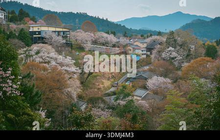 Großer Blick auf eine Bergstadt mit Kirschblüten im Yoshinoyama-Nationalpark, Japan. Stockfoto
