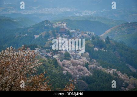 Großer Blick auf eine Bergstadt mit Kirschblüten im Yoshinoyama-Nationalpark, Japan. Stockfoto