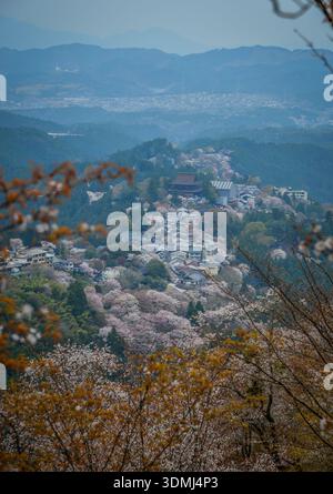 Großer Blick auf eine Bergstadt mit Kirschblüten im Yoshinoyama-Nationalpark, Japan. Stockfoto