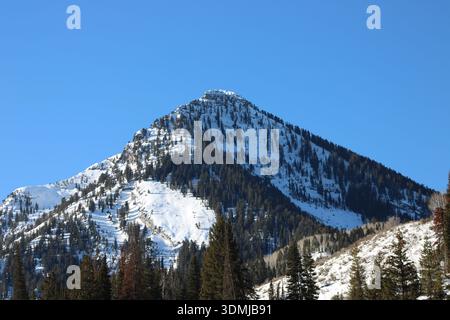 Schneebedeckter Alpenberg mit immergrünem Wald Stockfoto