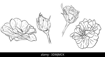 Wunderschönes Set, Clipart mit Rosen. Grafik Strichgrafik Hand gezeichnet Tinte schwarz-weiß Illustration Vektorbild Stock Vektor