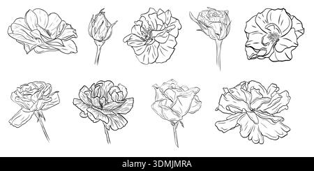 Wunderschönes Set, Clipart mit Rosen. Grafik Strichgrafik Hand gezeichnet Tinte schwarz-weiß Illustration Vektorbild Stock Vektor