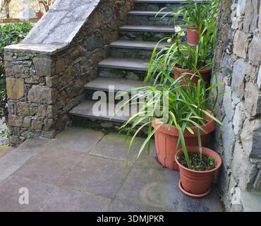 Steintreppen am Eingang zum Haus. Blumen in Terrakotta-Töpfen auf der Straße. Traditionelle Gebäude, italienische Architektur, Ligurien. Sonniger Tag. Natur und Stockfoto