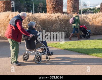 Älteres Paar, Mann, der Rollstuhl im Wintergarten schiebt, im Gegensatz zu der jungen Mutter, die Kinderwagen auf den Weg hinter sich schiebt. Wisley RHS Gardens Surrey Stockfoto