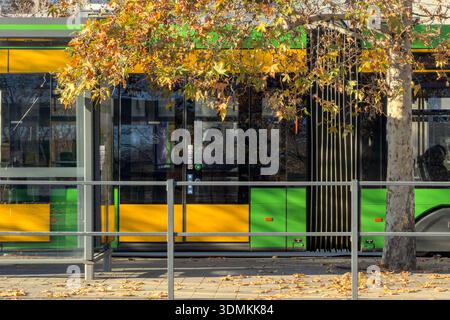 Posen, Polen - 22. November 2025: Seitenansicht eines hellgelben und grünen Stadtbusses, der an einem sonnigen Herbsttag an einer modernen Bushaltestelle wartet Stockfoto