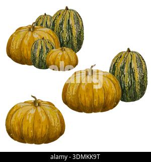 Aquarell Kürbis orange und grün isoliert Stockfoto