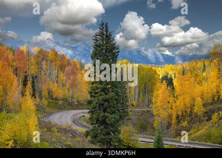 Feldweg und Herbstfarbe im Gunnison National Forest, Colorado Stockfoto