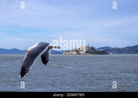 Alcatraz Island in San Francisco, Kalifornien, berüchtigtes Gefängnis oder Gefängnis in der Bay Area Stockfoto