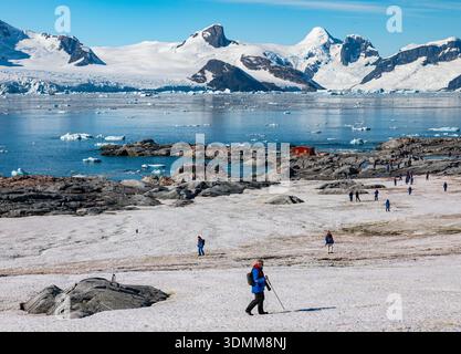 Petermann Island, Antarktis, 6. Februar 2026. Eine Gruppe von 98 Fotografen an Bord einer speziellen Foto-Kreuzfahrt mit dem Aurora Expeditions Schiff Greg Mortimer besuchen die malerische Insel, die Heimat einer Kolonie von Gentoo-Pinguinen an schönen sonnigen Tagen mit Temperaturen von etwa 5 Grad Celsius. Sie genießen klare helle Tage und wenig Wind. Quelle: Sally Anderson/Alamy Live News Stockfoto