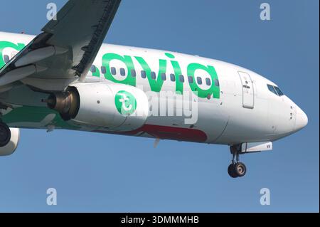 Larnaca, Zypern - 29. Juni 2024: Passagierflugzeug der Transavia Boeing 737 fliegt im blauen Himmel und bereitet sich auf die Ankunft vor Stockfoto