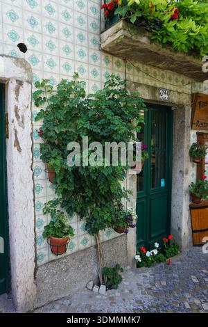 Malerischer Eingang in Lissabon: Verzierte Azulejo-gekachelte Mauer mit Klettergrün, Topfpflanzen, lebendigen Blumen und smaragdgrüner Tür. Stockfoto