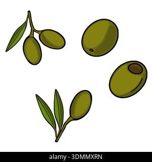 Vektorillustration von Reifen grünen Oliven mit Blättern auf weißem Hintergrund Stock Vektor