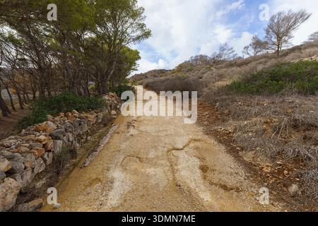 Eine unbefestigte Straße im zerklüfteten Hinterland von Levanzo, stark erodiert und durch den jüngsten starken Regen ausgewaschen, mit tiefen Spurrillen und beschädigtem Gelände, symbolisiert Stockfoto