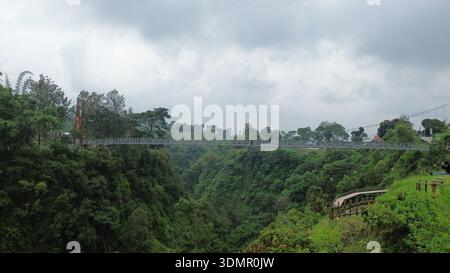 Die Brücke überspannt ein Tal mit einem üppigen grünen Wald auf beiden Seiten. Die Brücke ist von Bäumen umgeben und der Himmel ist bewölkt Stockfoto