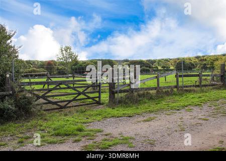 Holzzaun auf einem Pferdehof. Grünes Feld mit Bäumen im Hintergrund. Stockfoto