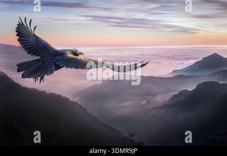 Zusammengesetztes Bild eines großen schwarzen Vogels, der bei Sonnenuntergang über den nebeligen Bergen fliegt. Stockfoto