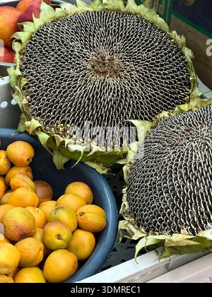 Nahaufnahme reifer Sonnenblumenkopf mit schwarzen Sonnenblumenkernen zum Verkauf auf dem Markt, Lanzhou, Provinz Gansu in China Stockfoto