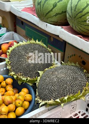 Nahaufnahme reifer Sonnenblumenkopf mit schwarzen Sonnenblumenkernen zum Verkauf auf dem Markt, Lanzhou, Provinz Gansu in China Stockfoto