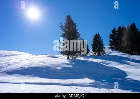 Helle Sonne scheint auf einer ruhigen Winterlandschaft mit schneebedeckten Hügeln und immergrünen Bäumen Stockfoto