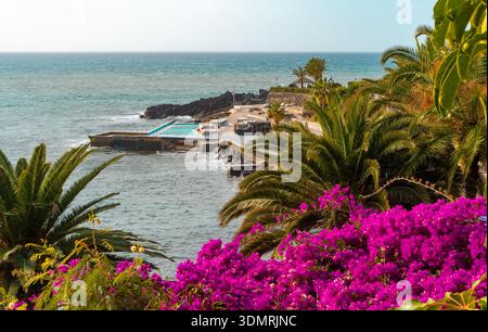 Tropischer Poolbereich am Meer mit Palmen und leuchtenden Blumen in Funchal. Stockfoto
