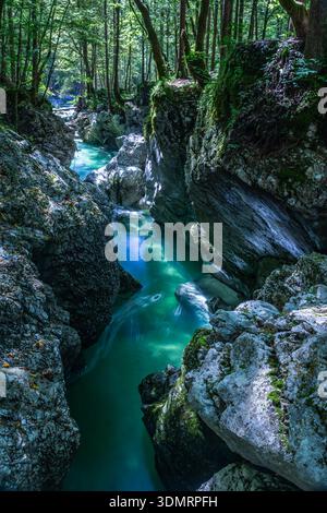 Klares Wasser fließt durch Felsformationen in der Mostnica-Schlucht in Slowenien. Die ruhige Umgebung unterstreicht die Schönheit der Natur in dieser Gegend. Stockfoto