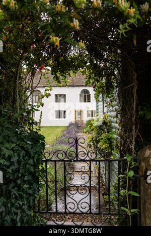 Ein Garteneingang, der von dichten Kletterweben eingerahmt ist und hinter einem kunstvollen Eisentor ein charmantes Landhaus enthüllt. Stockfoto