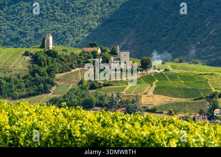 Weinberglandschaft in der Weinregion Chignin in Savoie, Frankreich, mit Weinbergen und Steinhäusern vor den Ausläufern des Massif des Bauge Stockfoto