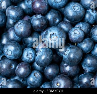 Hintergrund mit Nahaufnahme reifer Bio-Heidelbeeren Stockfoto