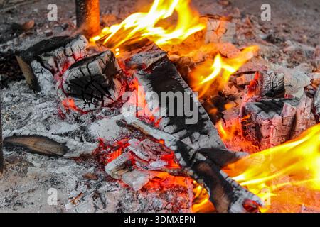 Glühende glühende Glut und brennende Holzscheite in einem aktiven Feuer. Flammen wirbeln um die Holzstücke und erzeugen eine kontrastreiche Szene. Stockfoto